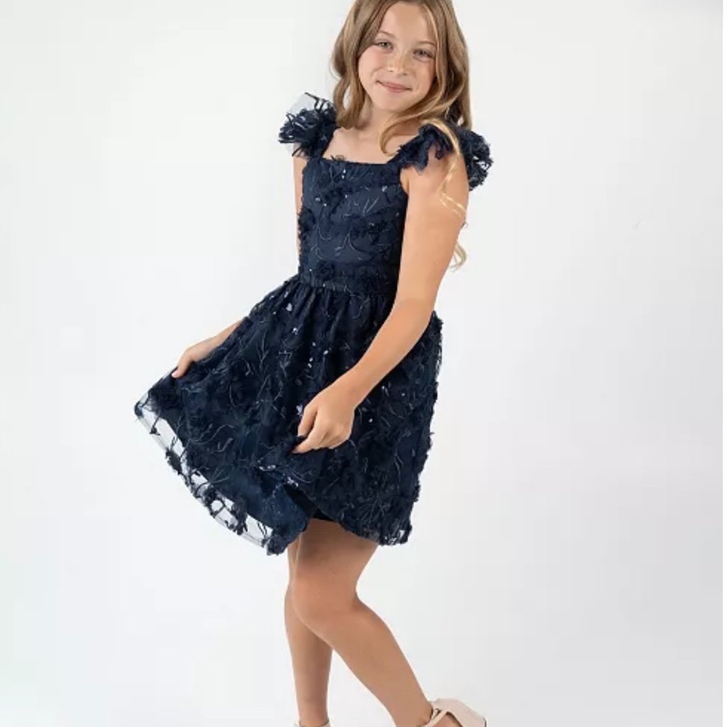 Rare Editions Big Girls 3d Floral Embroider Mesh Social Dress Nwt
